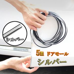 ドアモール 衝撃 キズ防止 5m メッキ 仕様 カー用品 モール ポイント消化 送料無料 シル
