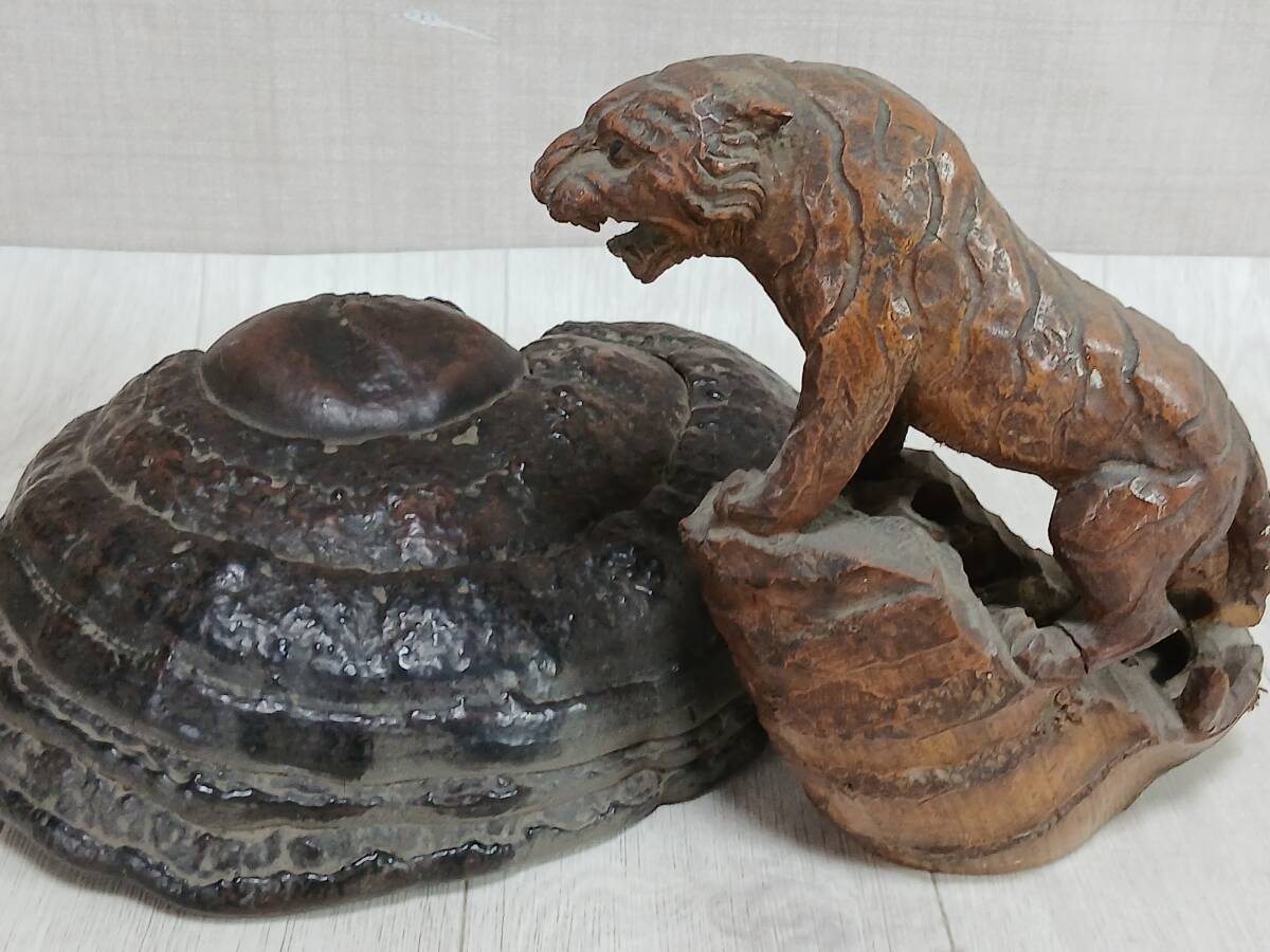 サルノコシカケの値段と価格推移は？｜4件の売買データから