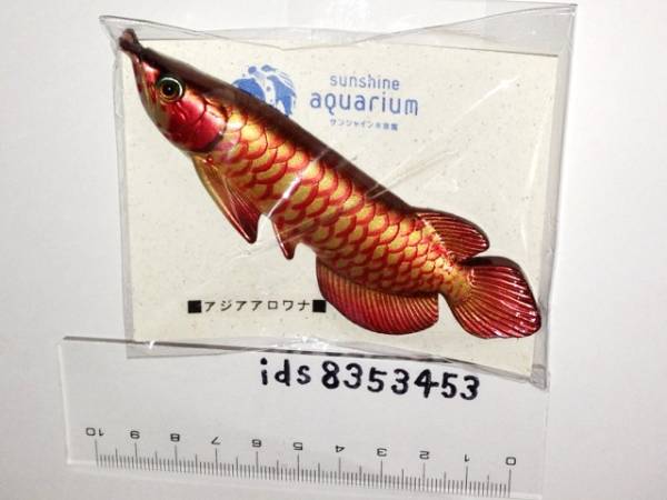 マグネット アジアアロワナ アロワナ レッド アロアナ 磁石 魚 生き物 売買されたオークション情報 Yahooの商品情報をアーカイブ公開 オークファン Aucfan Com