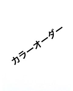 カラーオーダー値段調整分