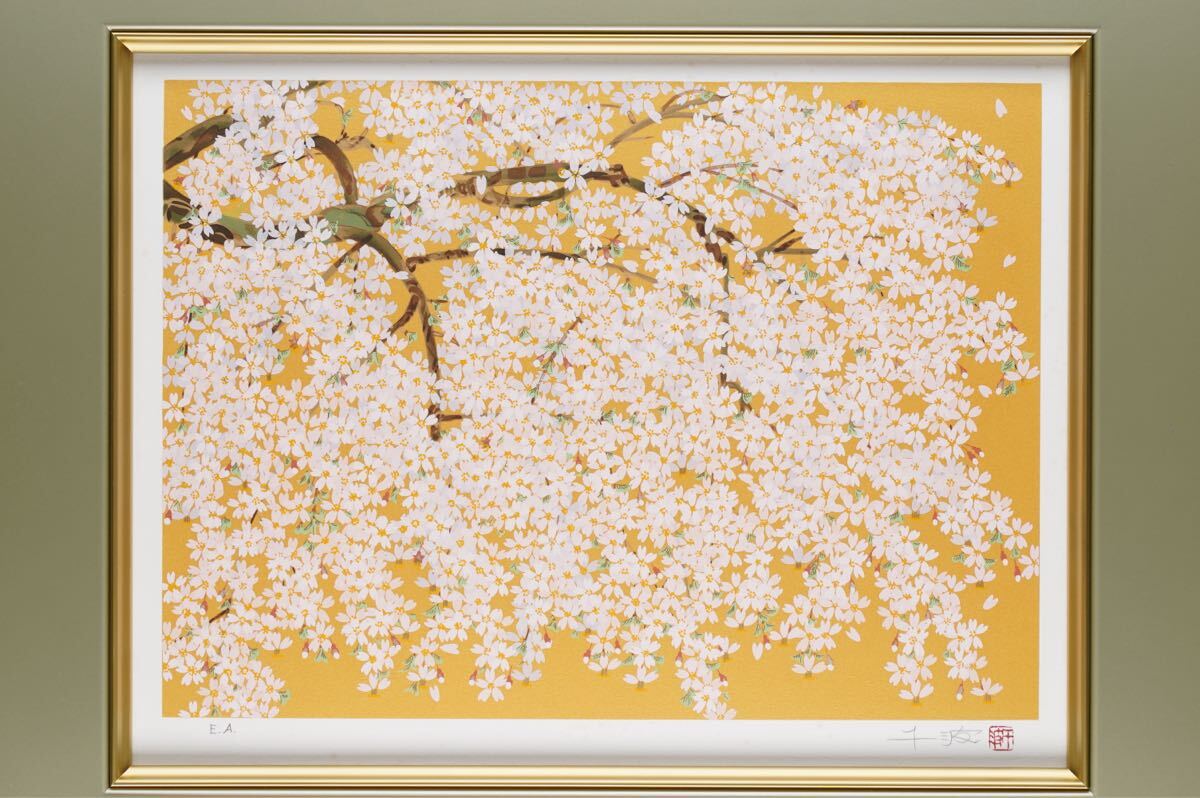 真作 中島千波「麗ら枝垂桜」シルクスクリーン 画寸(33cmx24cm) 本人