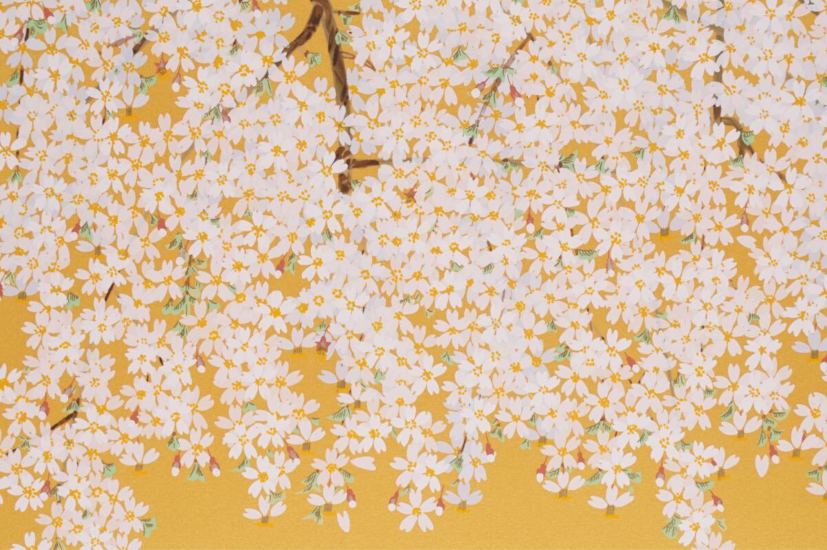 真作 中島千波「麗ら枝垂桜」シルクスクリーン 画寸(33cmx24cm) 本人