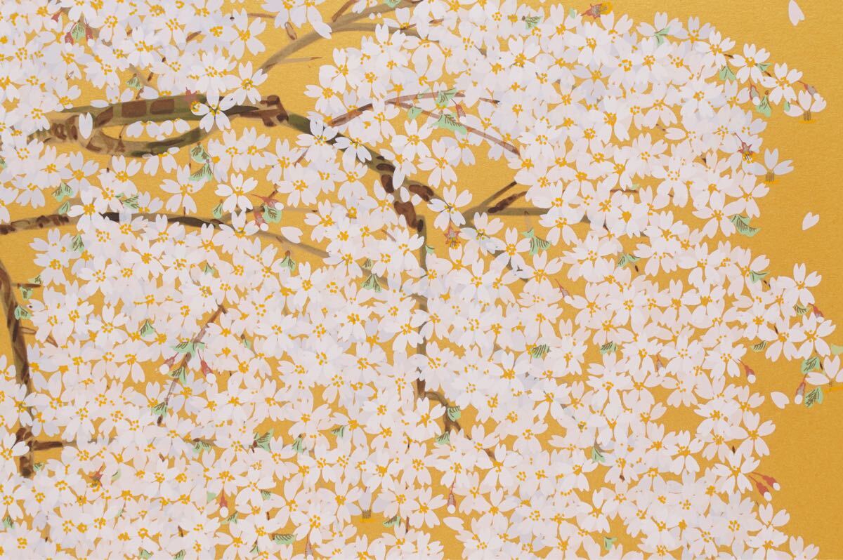 真作証明書付 中島千波 枝垂桜 ジクレー版画 直筆サイン有 限定200部 真作 中島千波「麗ら枝垂桜」シルクスクリーン 画寸(33cmx24cm) 本人