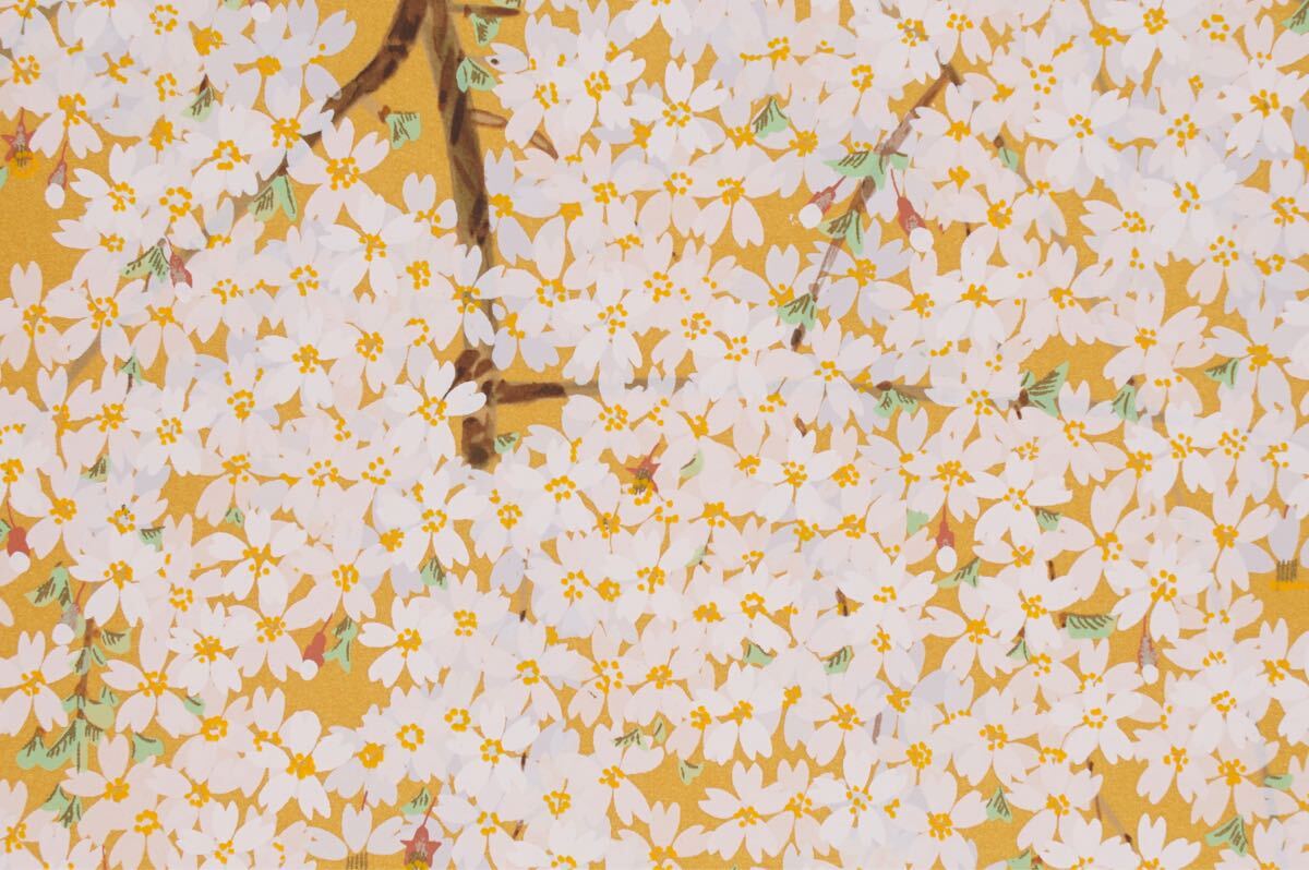 真作 中島千波「麗ら枝垂桜」シルクスクリーン 画寸(33cmx24cm) 本人