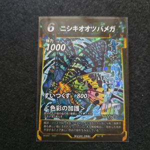 ニシキオオツバメガの値段と価格推移は？｜8件の売買データからニシキ