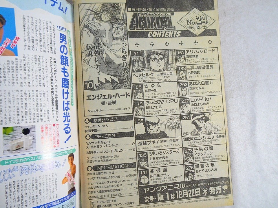 ヤングアニマル 1994年12月23日 NO.24 / 表紙 巻頭グラビア : 松田千奈