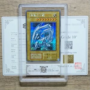 青眼 白龍 arsのYahoo!オークション(旧ヤフオク!)の相場・価格を見る
