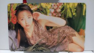 高橋由美子の値段と価格推移は？｜208件の売買データから高橋由美子の