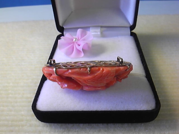 天然本珊瑚 帯留 特太 50×30×15mm