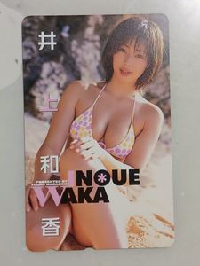 未開封 井上和香 和香さま就寝セット 週刊ヤングマガジン誌上限定 井上和香 マガジンの値段と価格推移は？｜18件の売買データから井上