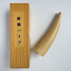 鯨歯の値段と価格推移は？｜134件の売買データから鯨歯の価値がわかる