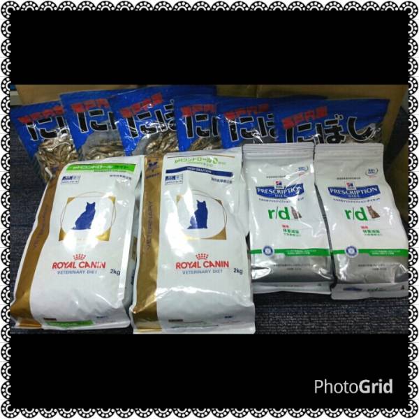 訳あり！キャットフード詰め合わせ☆