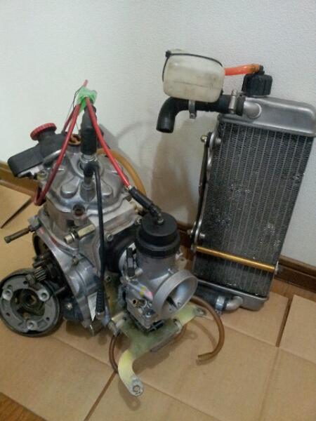 ロータックスROTAX MAXエンジン フルセット中古(パーツ)｜売買された