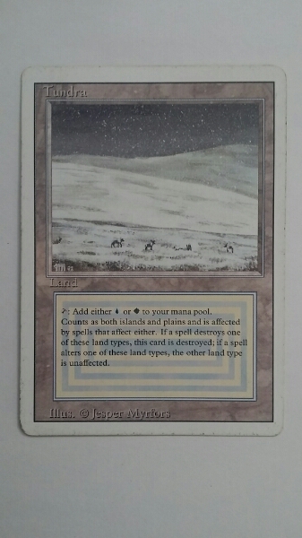 MTG Tundra 英語版 リバイズド 3ED tundra 3ED 英語 Tundra 英語版 MTG