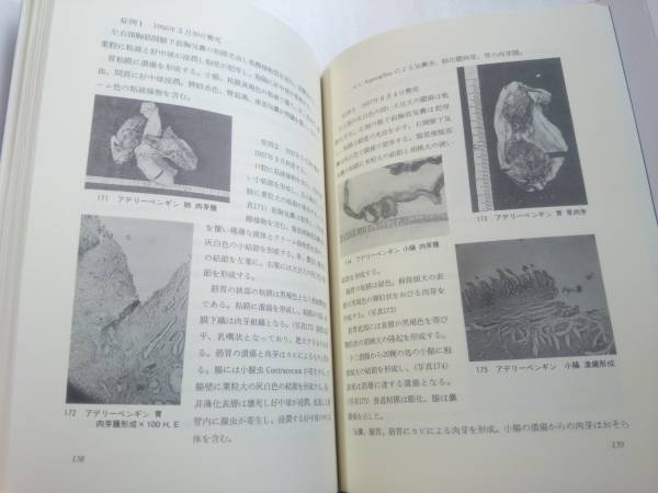 動物園動物の病理学 名古屋市東山動物園動物の剖検から(生物学)｜売買