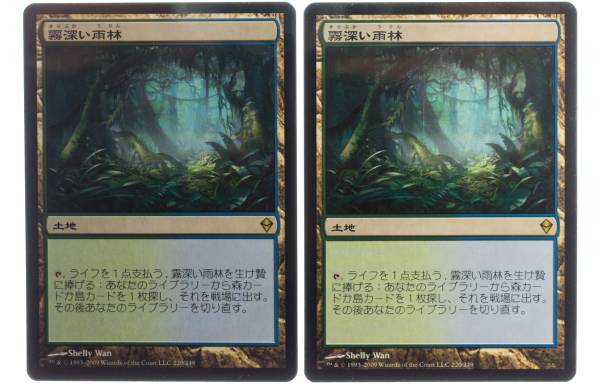 霧深い雨林 | MTG 霧深い雨林⁄Misty 日本最大級 土地R Zendikar