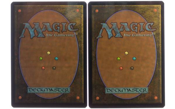 MTG 『霧深い雨林/Misty Rainforest』(ZEN) 2枚セット 日 ゲーム Magic