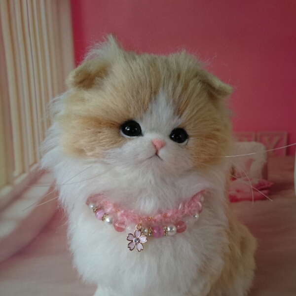 羊毛フェルト猫☆スコティッシュフォールド子猫☆ハンドメイド