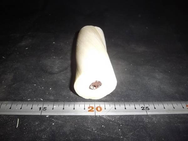 ウニコール　一角獣　一角クジラ218ｇ漁具疑似餌ルアー彫刻根付