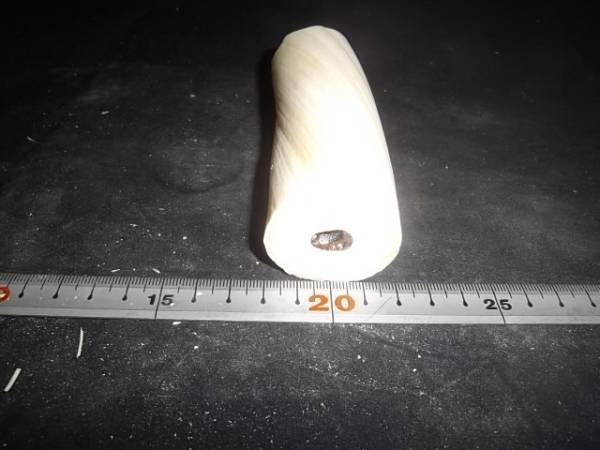 ウニコール　一角獣　一角クジラ218ｇ漁具疑似餌ルアー彫刻根付