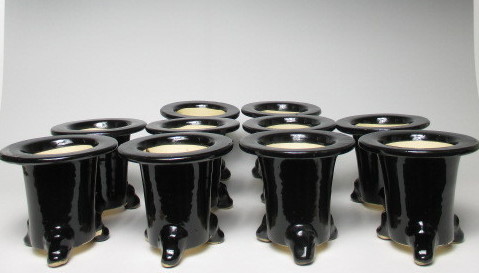 万年青　黒鉢3.5号　未使用　おもと　石斛　