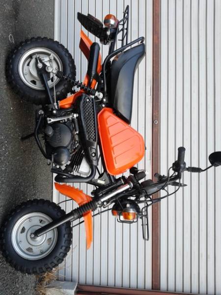 フォーゲル 実動 福岡県 検)ポッケモンキーゴリラ