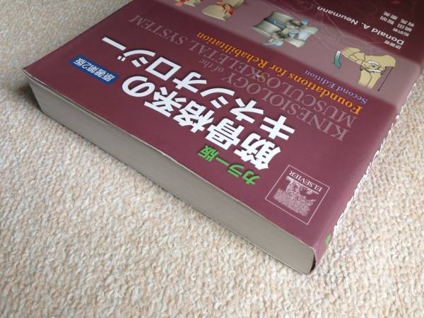 筋骨格系のキネシオロジー　カラー版　第２版　理学療法　専門書