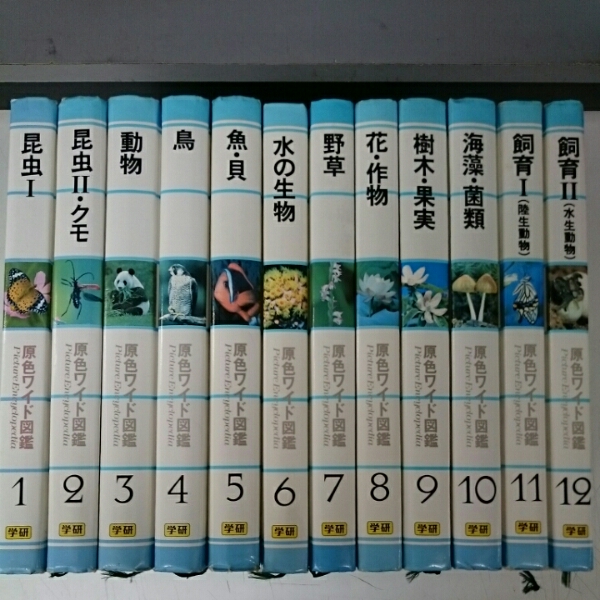 【美品】【絶版】学研の図鑑 レトロ 原色ワイド 全26巻中13〜26巻の14冊 学研 原色ワイド図鑑 全26巻セット 図鑑 本、雑誌 【公式通販】