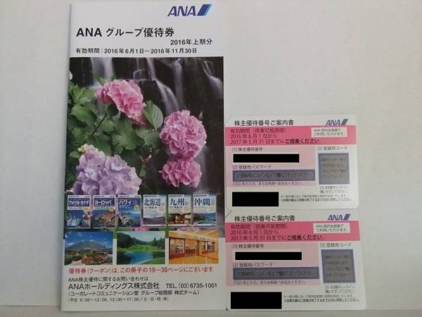 ANA 株主優待券 2枚＋冊子 1