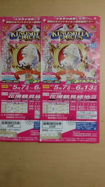 サーカス 木下サーカス大阪公演入場券