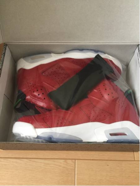 NIKE AIR JORDAN 6 RETRO SPIZIKE スパイジーク