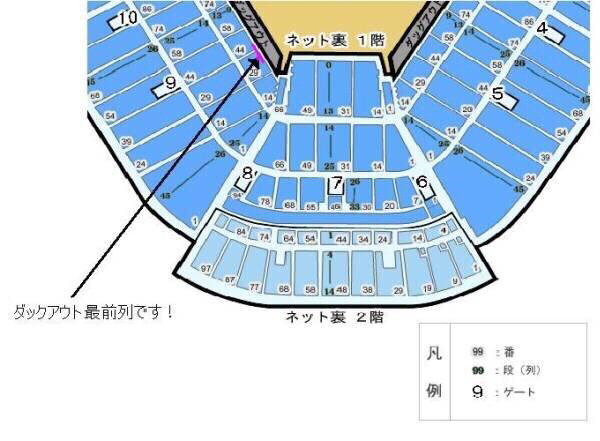 6/19日曜ヤクルト-埼玉西武ベンチ上最前列スタ-シ-ト1-3枚