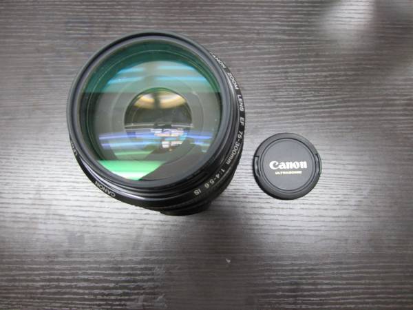CANON ZOOM LENS EF 75-300mm 1:4-5.6 IS Canon 【公式通販】