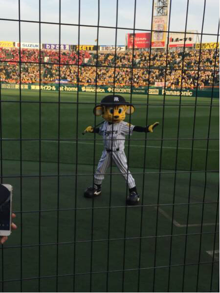 ７月8日(金）阪神vs広島SMBCシート通路側2連番良席！