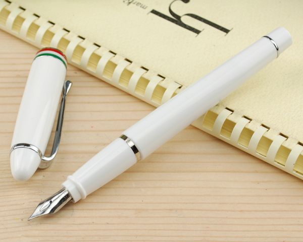 ※アウロラAURORA国内未発売万年筆 イプシロン ホワイトFサイズ