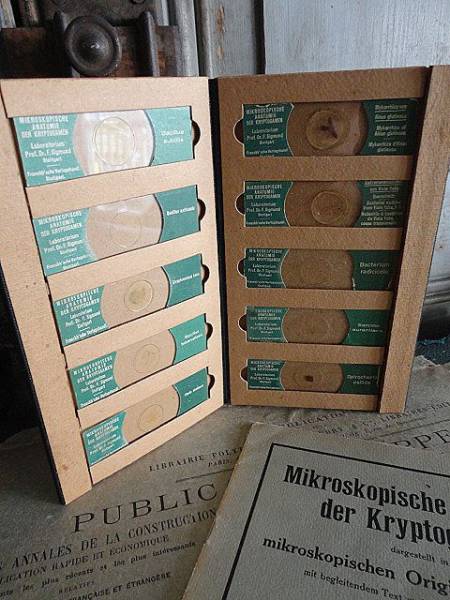 ドイツアンティークBook型ケース入プレパラート/テキストset:1