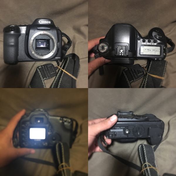 CANON キャノン EOS 10D レンズセット Canon EOS 10D ボディ単体