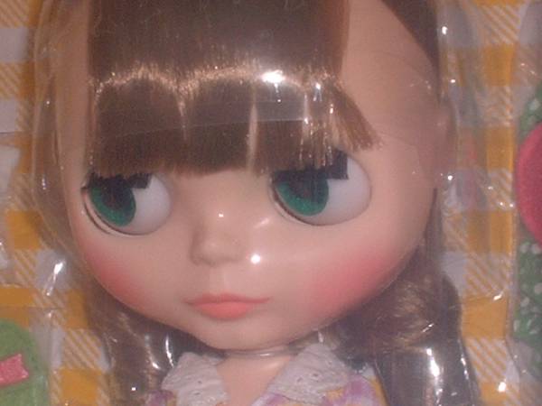 ネオブライス　ヘンリエッタズホームパーティー　輸送箱のみ開封