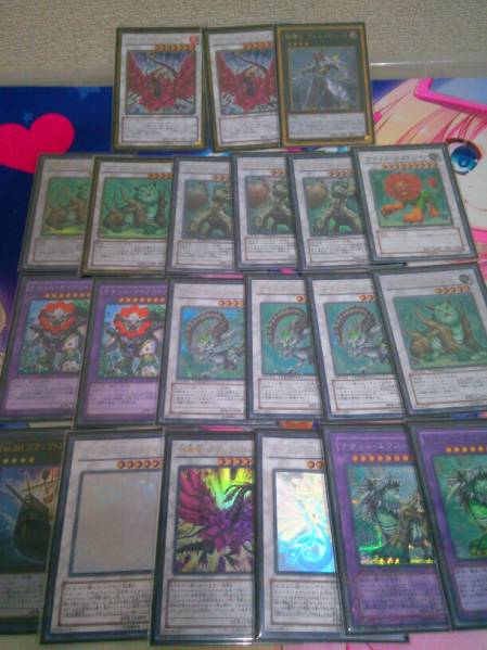 遊戯王　引退　ナチュル　デッキ