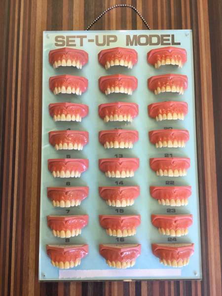 入れ歯見本 アンティークオブジェインテリア明石家さんま歯科