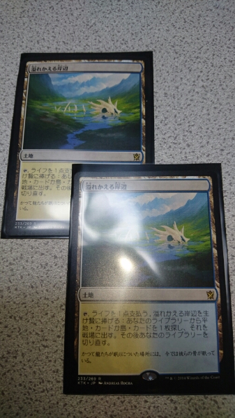 溢れかえる岸辺 土地R | MTG Foil《溢れかえる岸辺⁄Flooded 日本最大