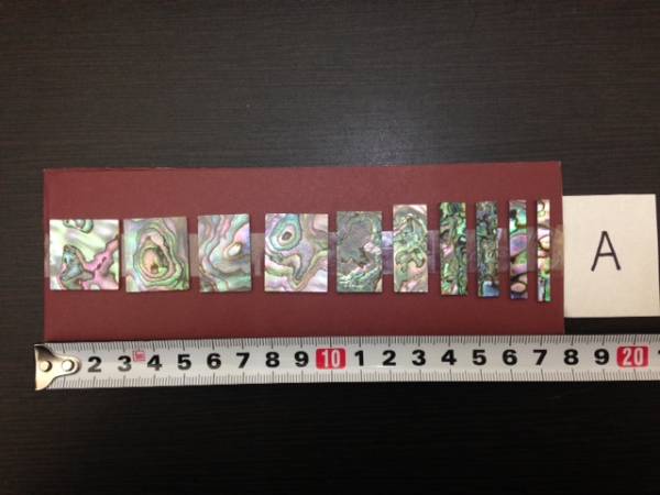 ★ポジションマーク★メキシコ貝　天然貝レアな模様★A