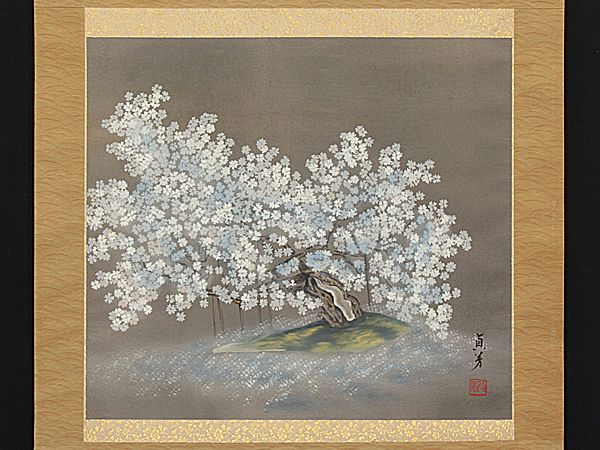 □□掛軸/日本画/桜/夜桜/肉筆/共箱/横物□□