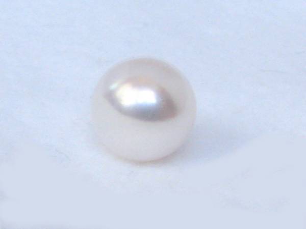 SS-3242日本産本真珠あこやルース8.4mm大粒保証書付新品花珠丸