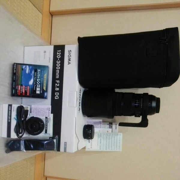 Canon キャノン EF-S 10-18mm F4.5-5.6 IS STM Sigma DG OS HSM 120-300mm f⁄2.8 Lens Review EX F2.8 APO Sports