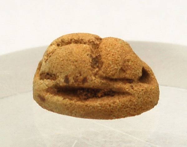 ■紀元前後古代エジプトファイアンス製スカラベヒエログリフ入り