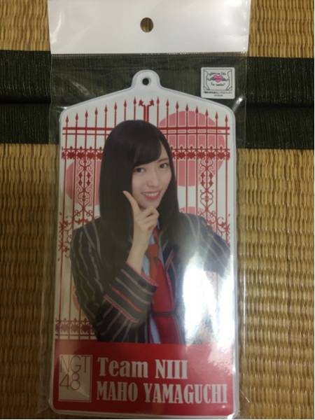 NGT48 1周年記念 チケットホルダー 山口真帆