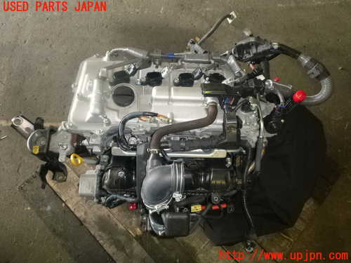 m229305644.1
