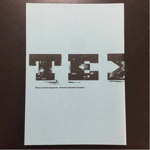 【新品同様】星野源 TEXAS テキサス パンフレット