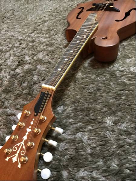 【フラットマンドリン】Blanton BM-25F オールマホ単板です！